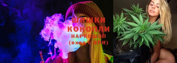 сатива Алексеевка