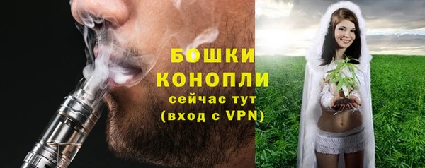сатива Алексеевка