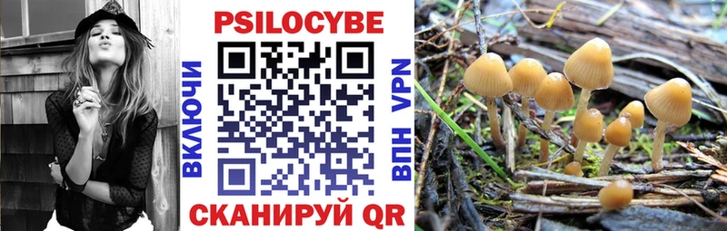 Галлюциногенные грибы Cubensis  mega онион  Оханск 